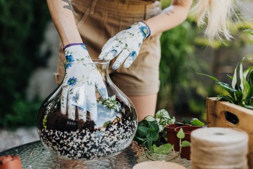 Free Close-up of a gardener's hands creating a terrarium with diverse plants in a glass vase. Stock Photo