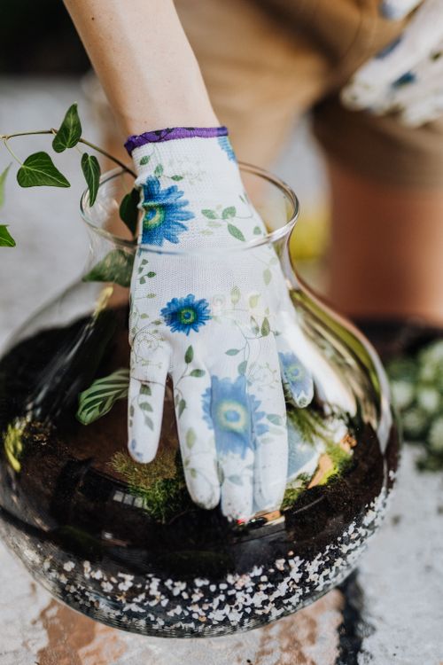 Free Close-up of hands in gloves arranging a terrarium with soil and plants. Stock Photo