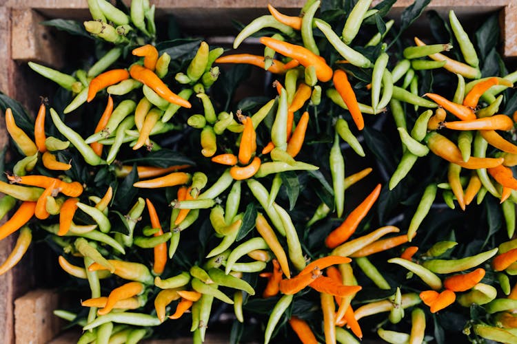 Close-up Of Chili Peppers