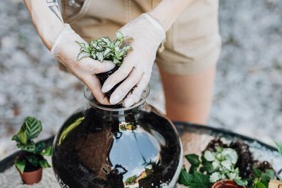 Mold Kept Taking Over My Terrarium — Then I Added a Cleanup Crew and It Solved Itself