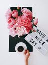 Hand Setting Down Cup of Coffe Next to Bouquet of Pink Flowers