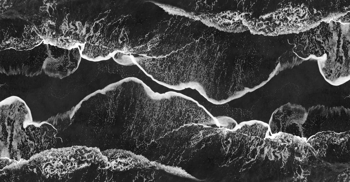 國際:川普強調不會允許以色列吞併約旦河西岸