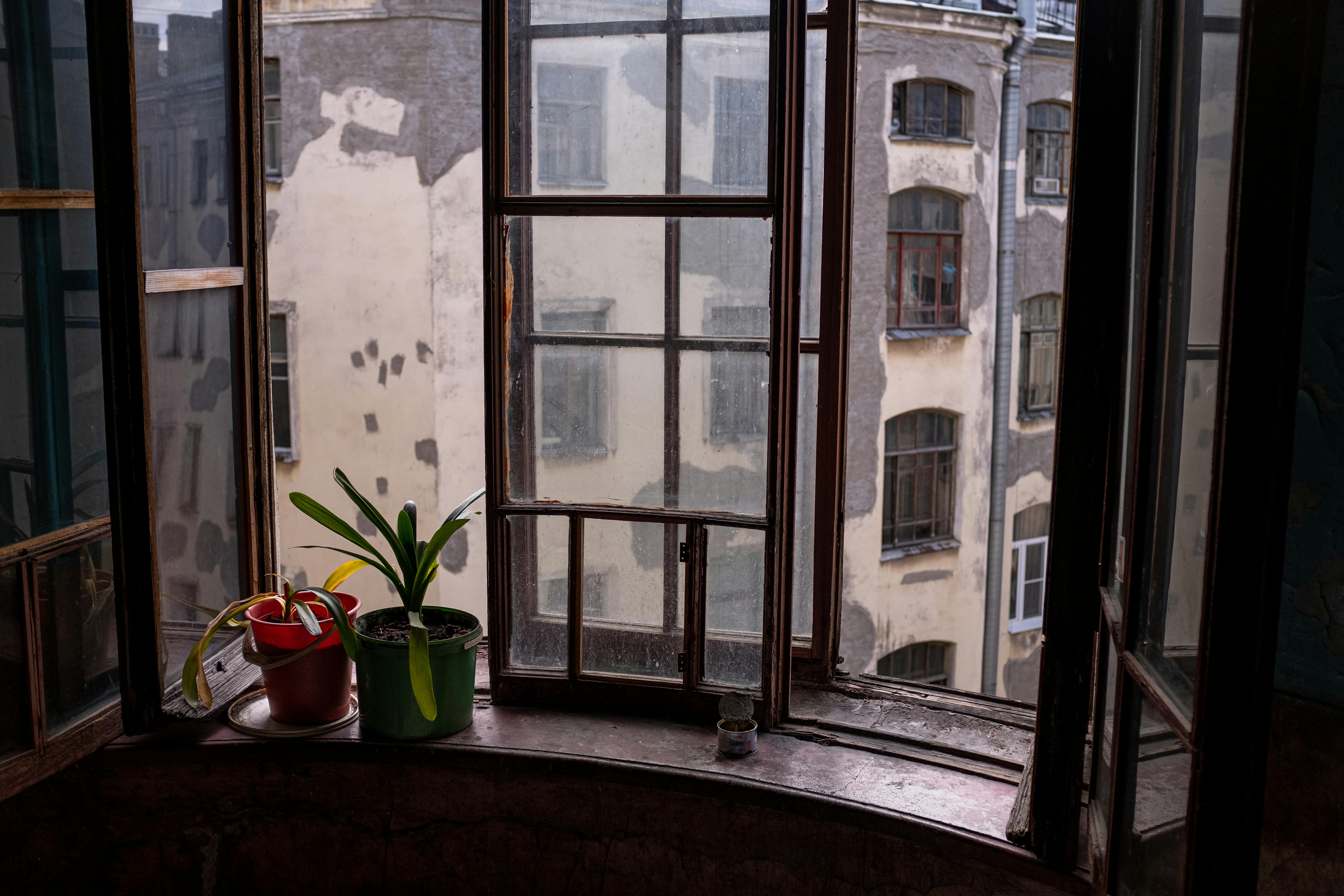 Free Old window view with plants on a sill in a vintage interior setting. Stock Photo