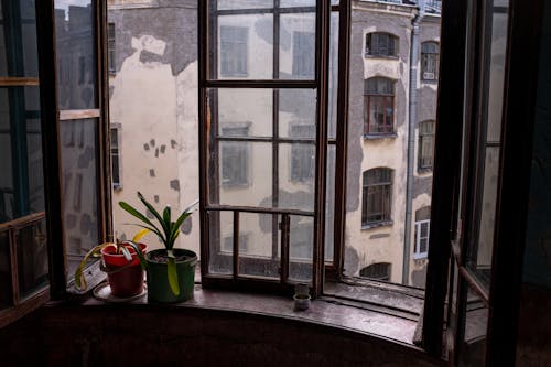 Ingyenes stockfotó ablak, antik, belső témában