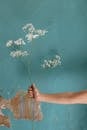 Person Holding White Flower Near Blue Wall