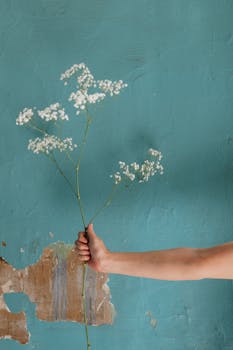 Hand holding baby's breath flowers against a textured blue wall. Minimalist and artistic mood.