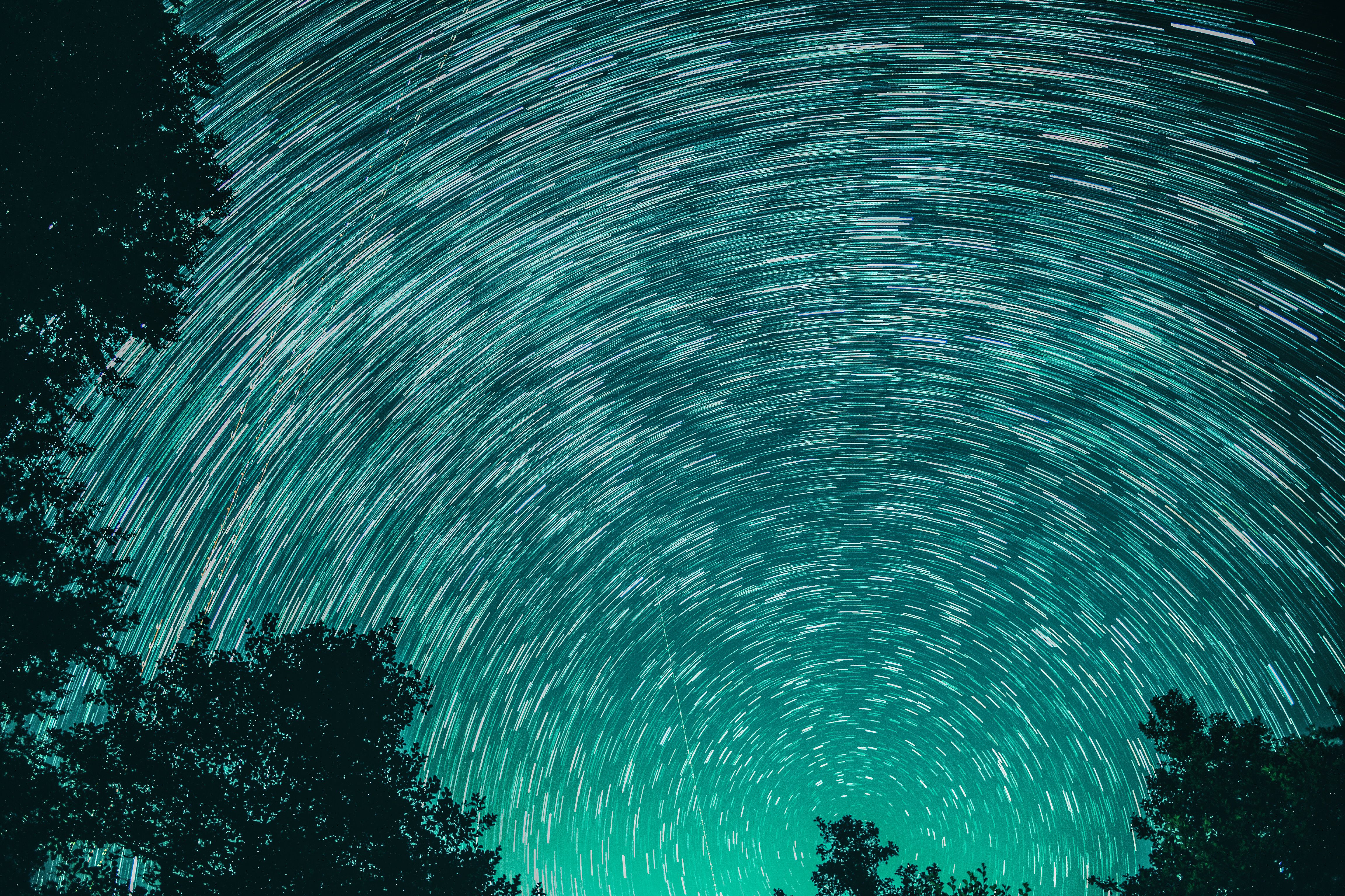 碧绿的天空中，星轨形成了令人惊叹的图案，前景里是树木的轮廓