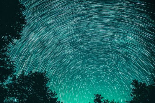 碧绿的天空中，星轨形成了令人惊叹的图案，前景里是树木的轮廓