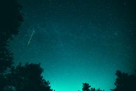 青色的夜空下，流星划过，映衬着树木的剪影，星光迷人