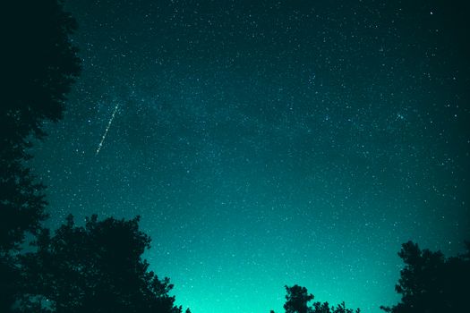 青色的夜空下，流星划过，映衬着树木的剪影，星光迷人