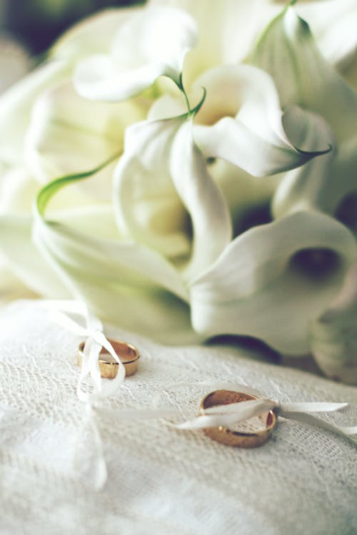 Fotobanka s bezplatnými fotkami na tému arum lily, biele kvety, manželstvo