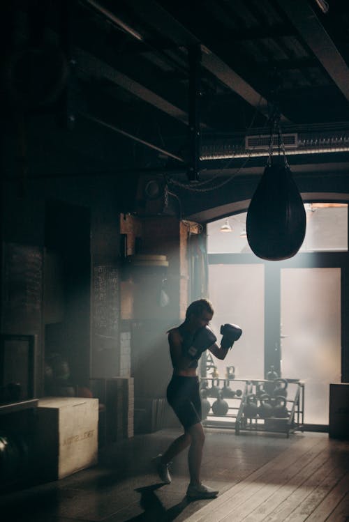 Immagine gratuita di allenamento, battaglia, boxe