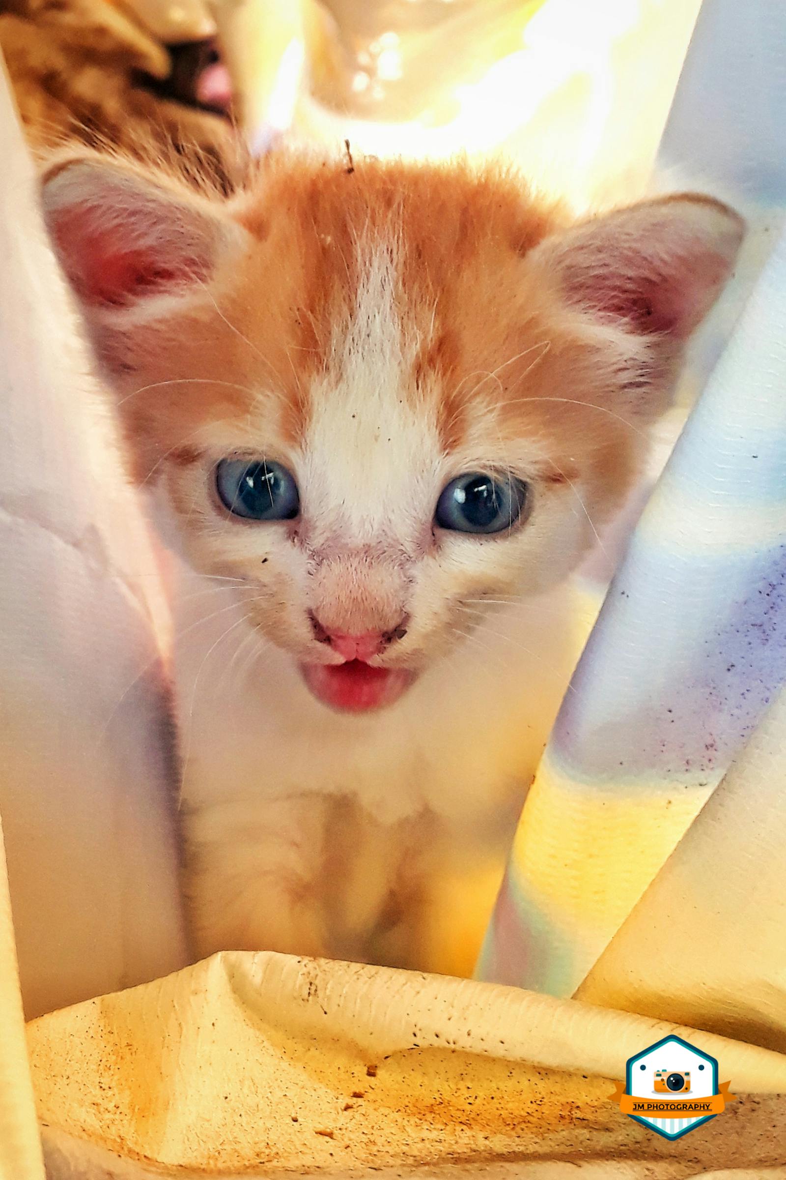 Person preparing a colorful Mediterranean-style salad in a kitchen