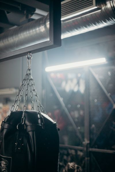 Heavy bag in a cage gym, photo by cottonbro studio on Pexels