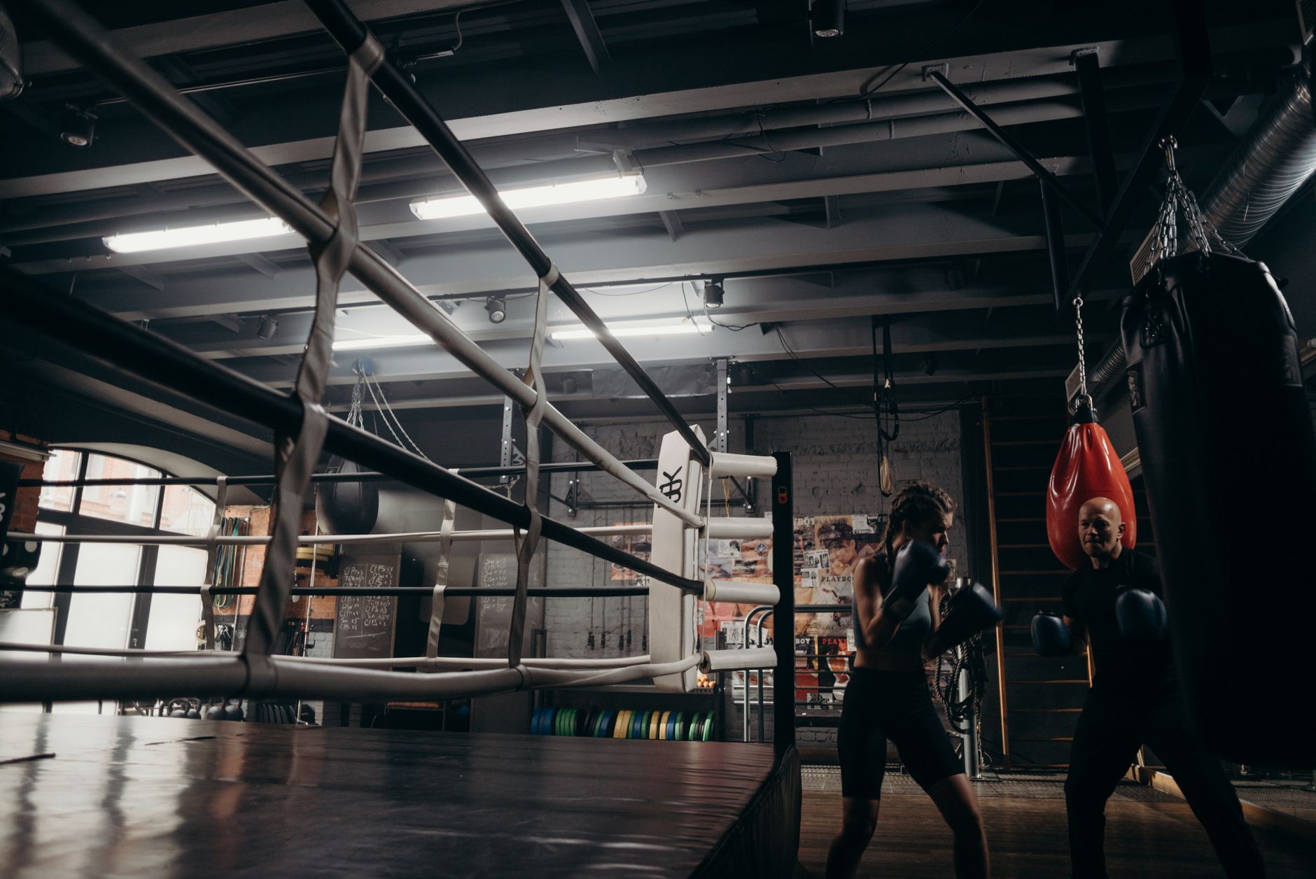 Commercial Gym vs Private Studio: Which Setting Suits You Best?