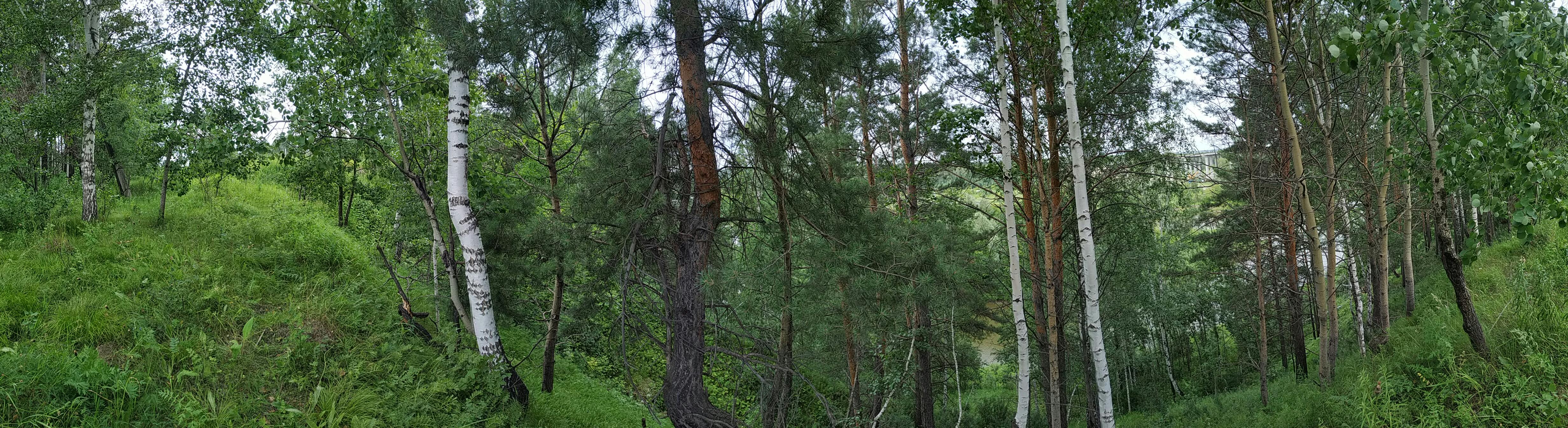 Préparation physique Muay Thai 2026 : le cardio légendaire des Nak Muay décrypté
