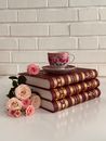 Porcelain cup and saucer placed on top of collection of books stacked on table with bunch of fresh roses