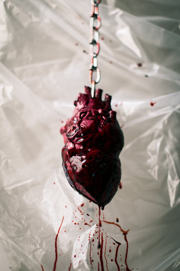 The Heart of the Matter: 30 Fascinating Facts About the Human Heart