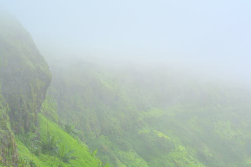 Foto profissional grátis de greenary, montanhas, singhgad