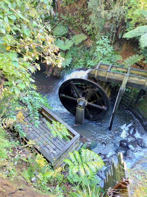 Free stock photo of pukekura park, water wheel