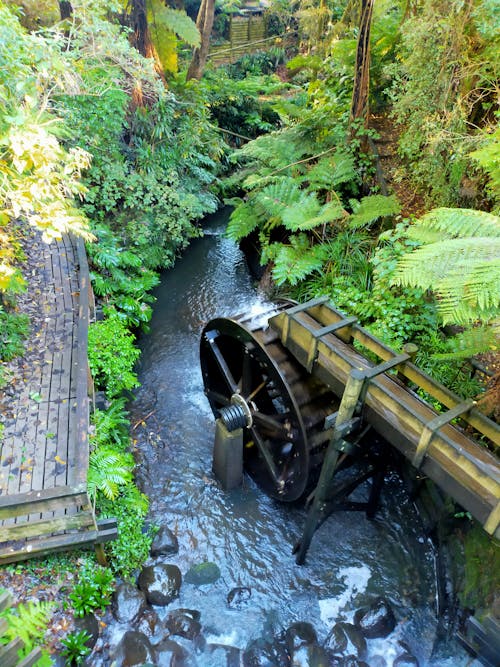 Free stock photo of pukekura park, water wheel