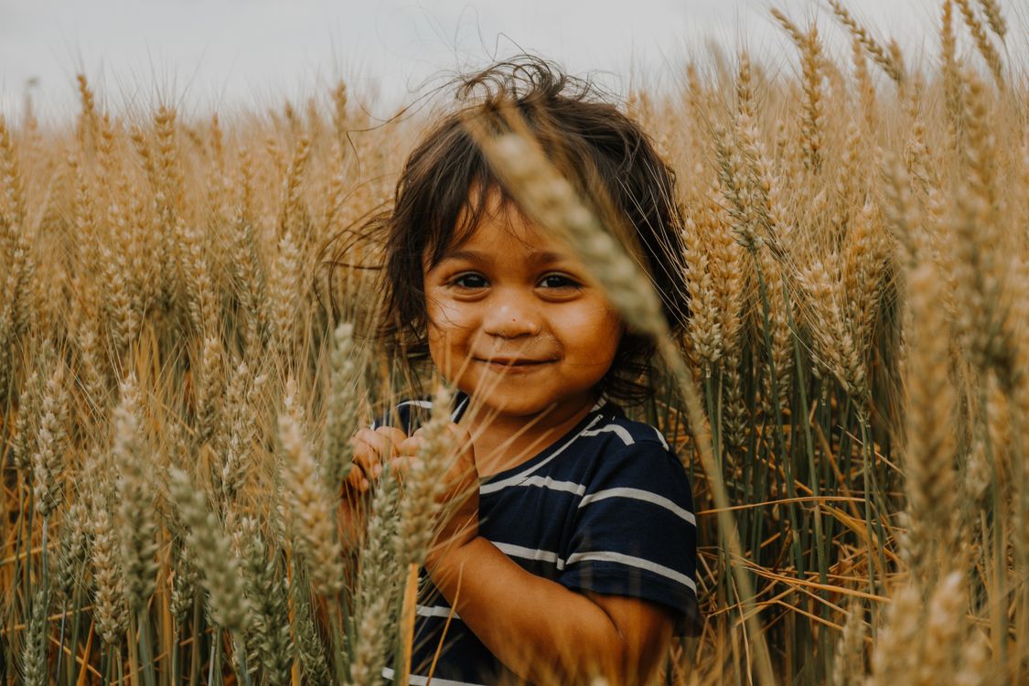 Photo of a Child on Wheat Field · Free Stock Photo