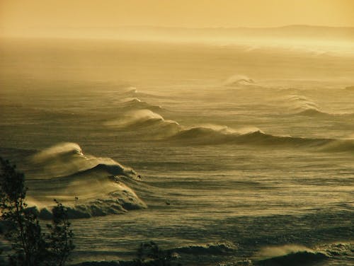 Huge Wave on the Ocean