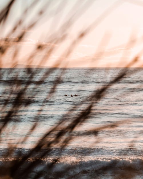 People Swimming on the Ocean