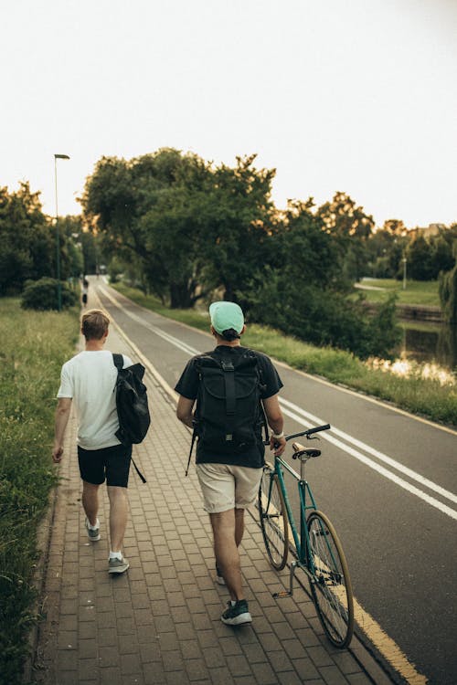 Gratis stockfoto met achteraanzicht, backpack, bomen