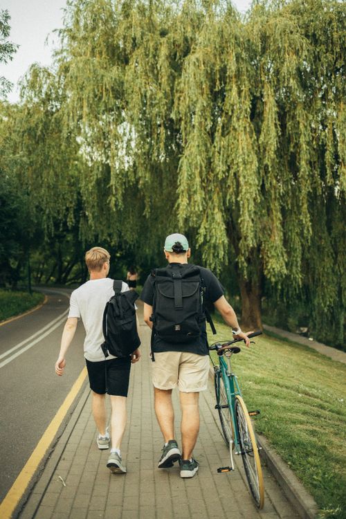 Free Two men walking with bicycles on a tree-lined path during summer. Stock Photo