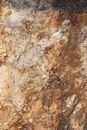 Brown and Gray Rough Surface