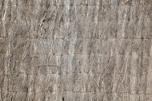 Dried Straw Fence