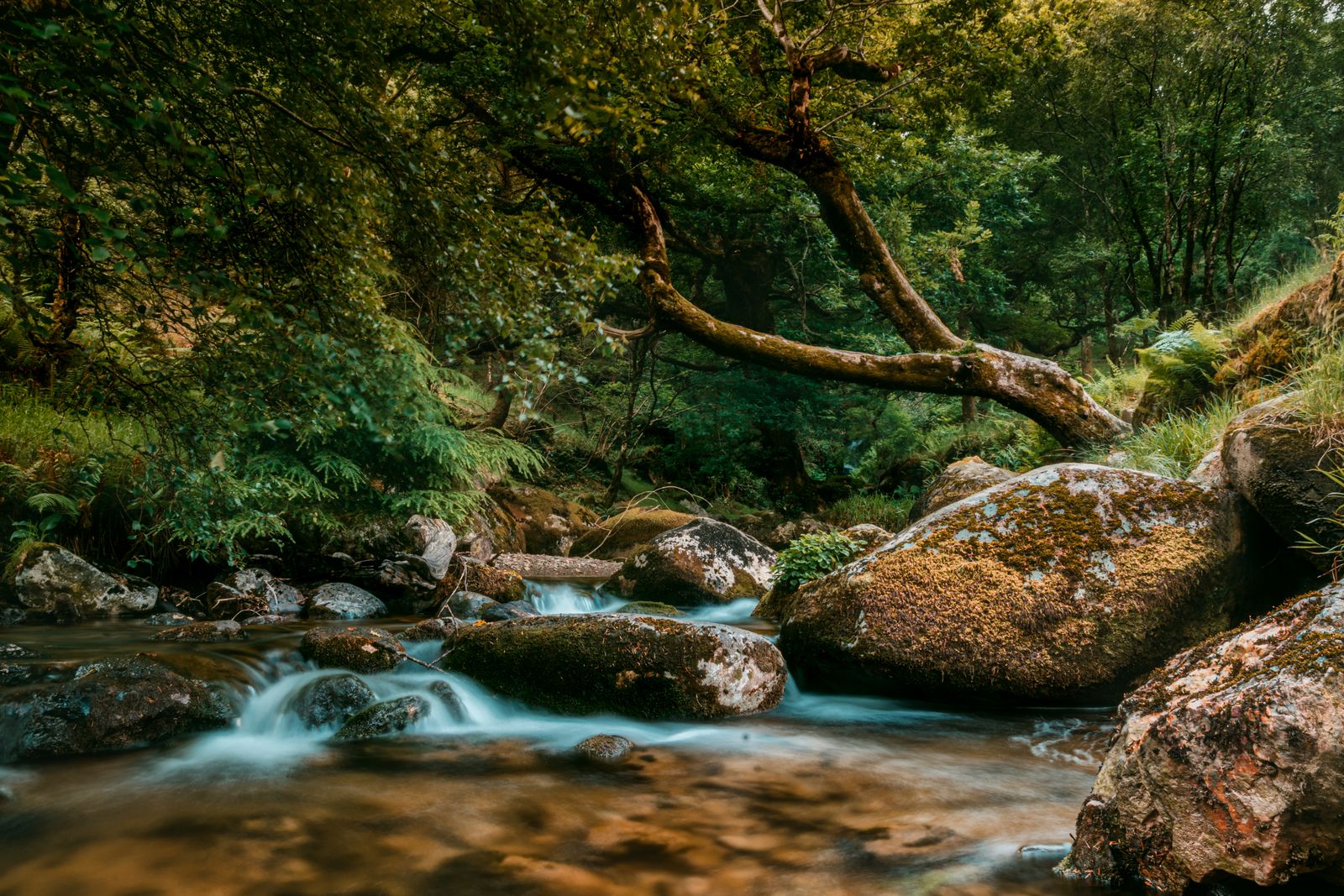 Stream flowing through mossy rocks in the forest of Wicklow Mountains, Ireland
