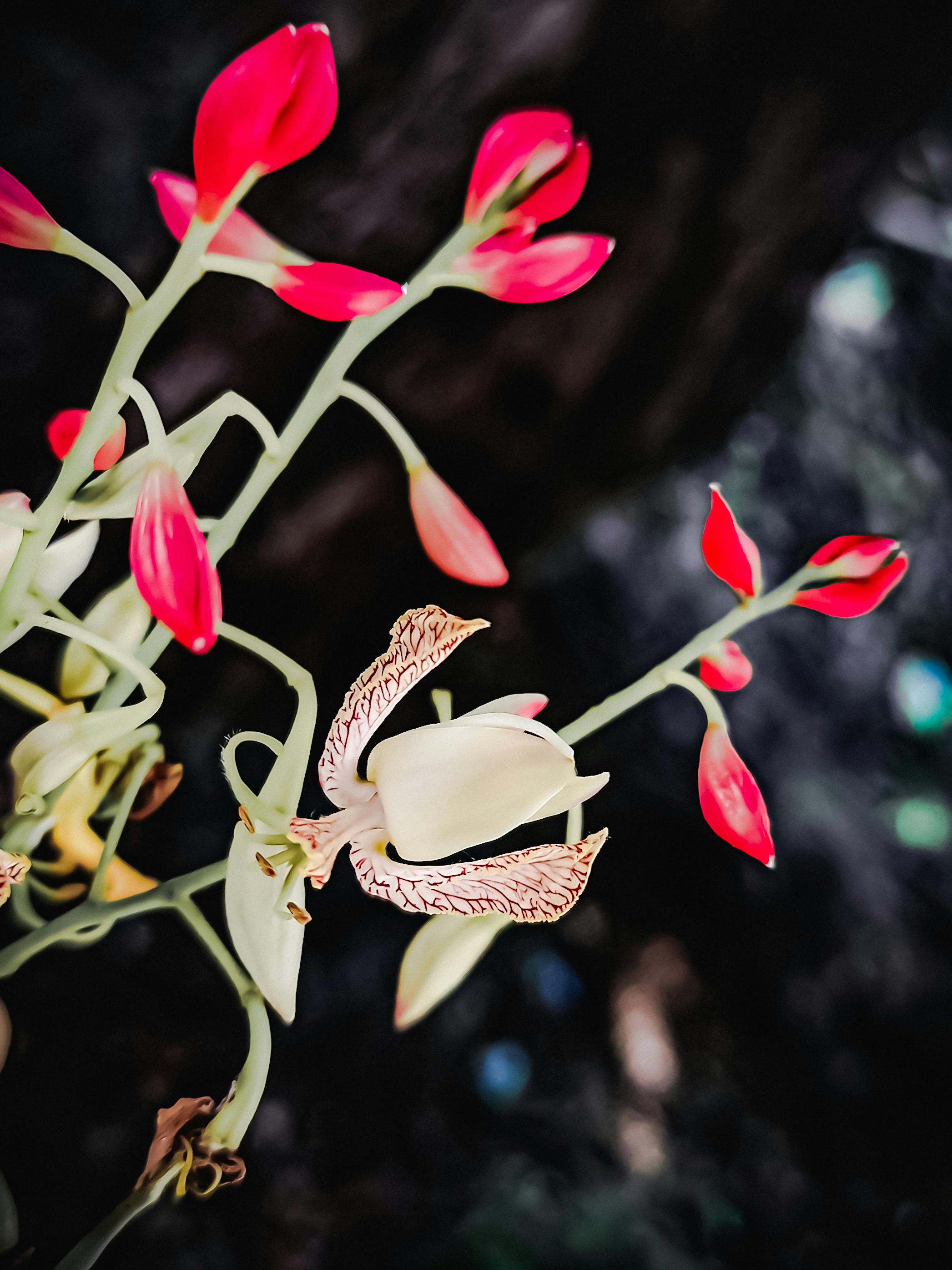 Person macht Plank Übung