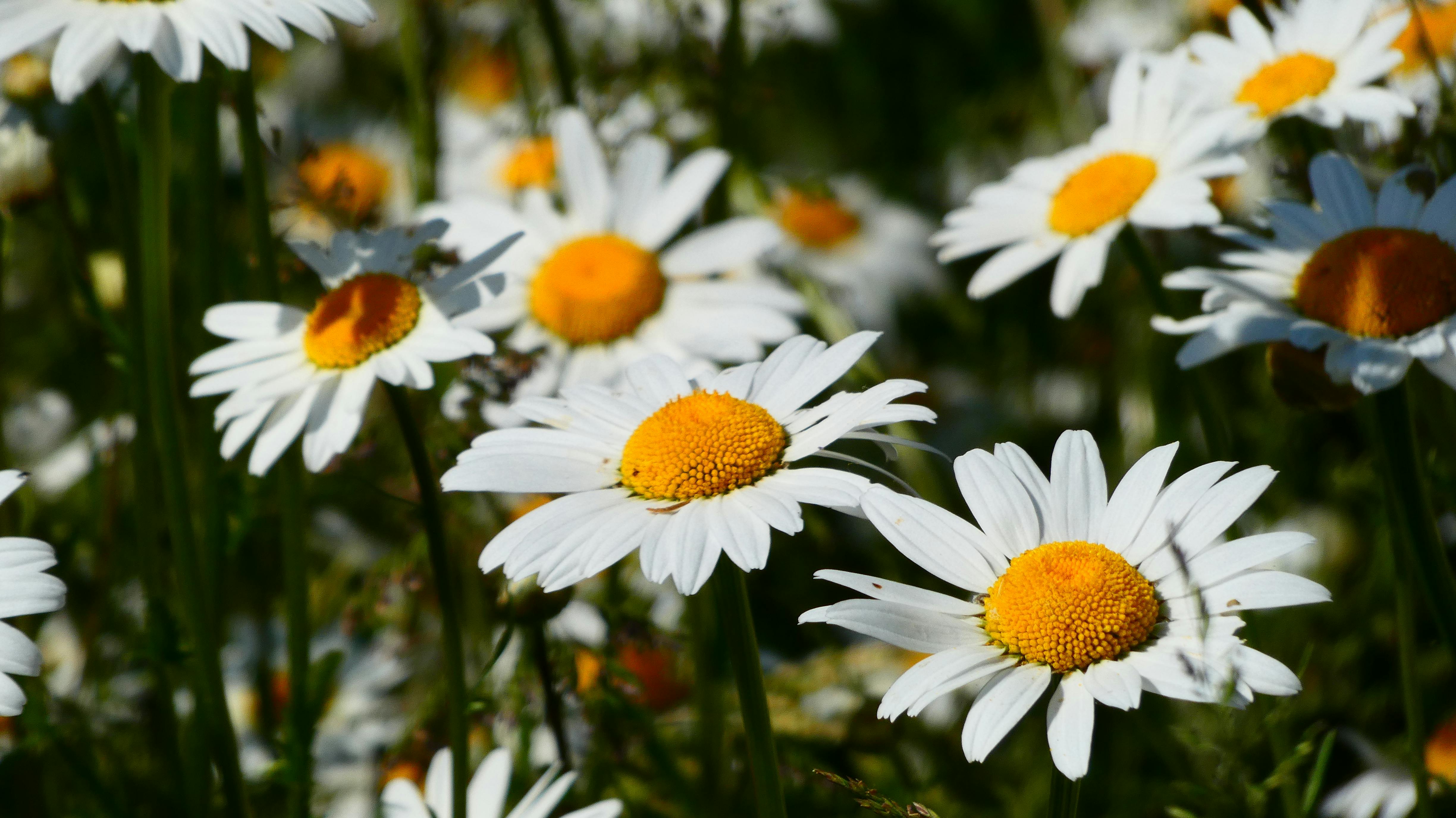 Eine Person macht eine Hüftübung mit einem Widerstandsband, um die Gesäßmuskulatur zu stärken.