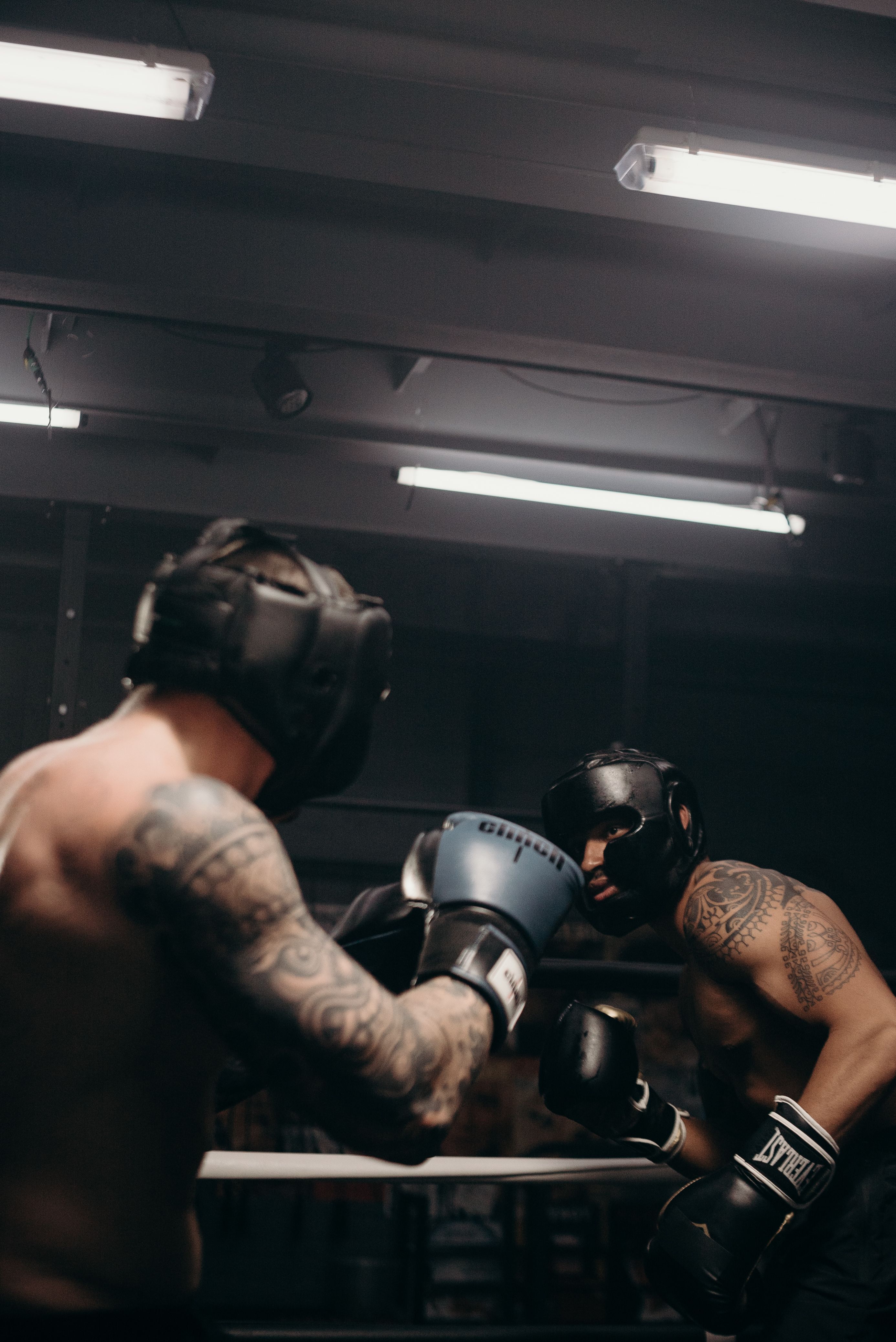 Two boxers circling in the ring