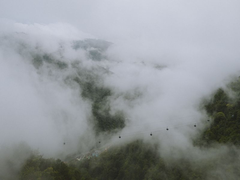 Cable cars rising through mist over forested mountains