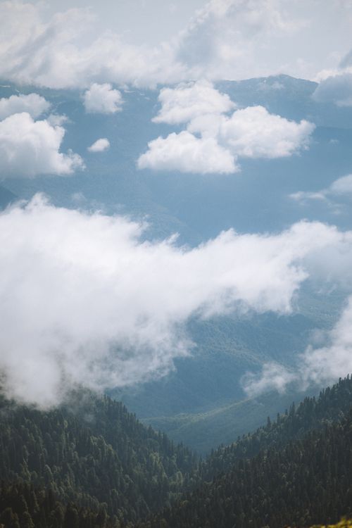 Free Scenic view of mountains covered in clouds and forests, offering tranquility and natural beauty. Stock Photo