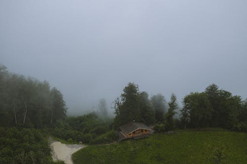 Fotobanka s bezplatnými fotkami na tému dom, hmla, hracie pole