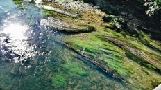 Green and Brown Mountain Beside Body of Water