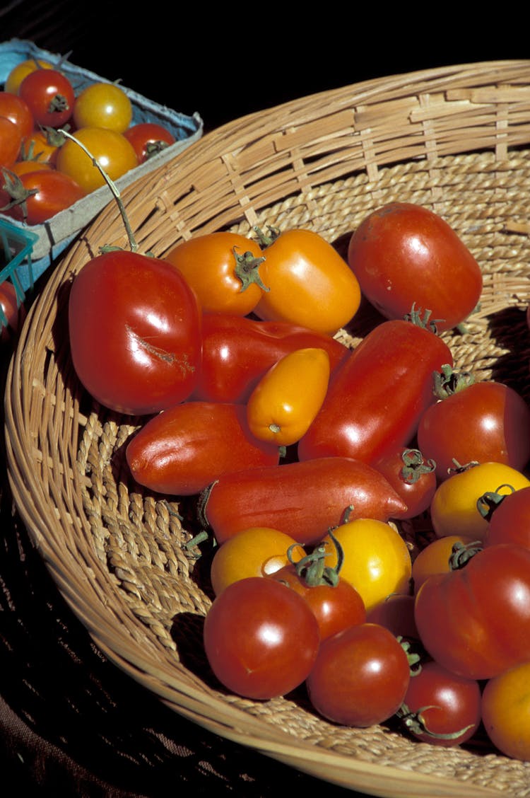 Tomatoes In A Basket 