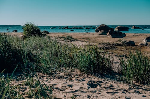 Fotobanka s bezplatnými fotkami na tému breh, horizontálny, idylický