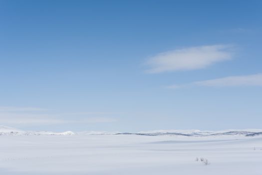 Expansive winter scene in Troms og Finnmark, Norway with clear blue skies and snowy fields.