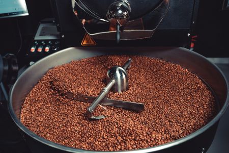 Beans inside industrial roasting drum
