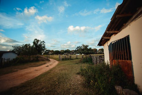 Blue sky with clouds over narrow sandy road surrounded by small simple houses and wooden fence next to grassland and forest