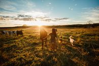 Teenage girl leading horse by bridle in meadow at sunset