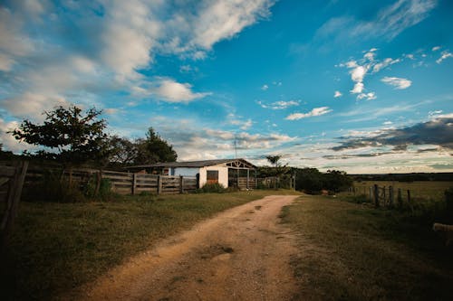 Free Narrow beige sandy road surrounded by green grass near simple construction and paddock under vibrant blue sky covered with clouds in daytime Stock Photo