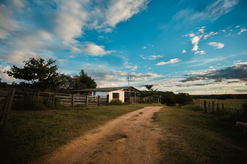 Free Narrow beige sandy road surrounded by green grass near simple construction and paddock under vibrant blue sky covered with clouds in daytime Stock Photo