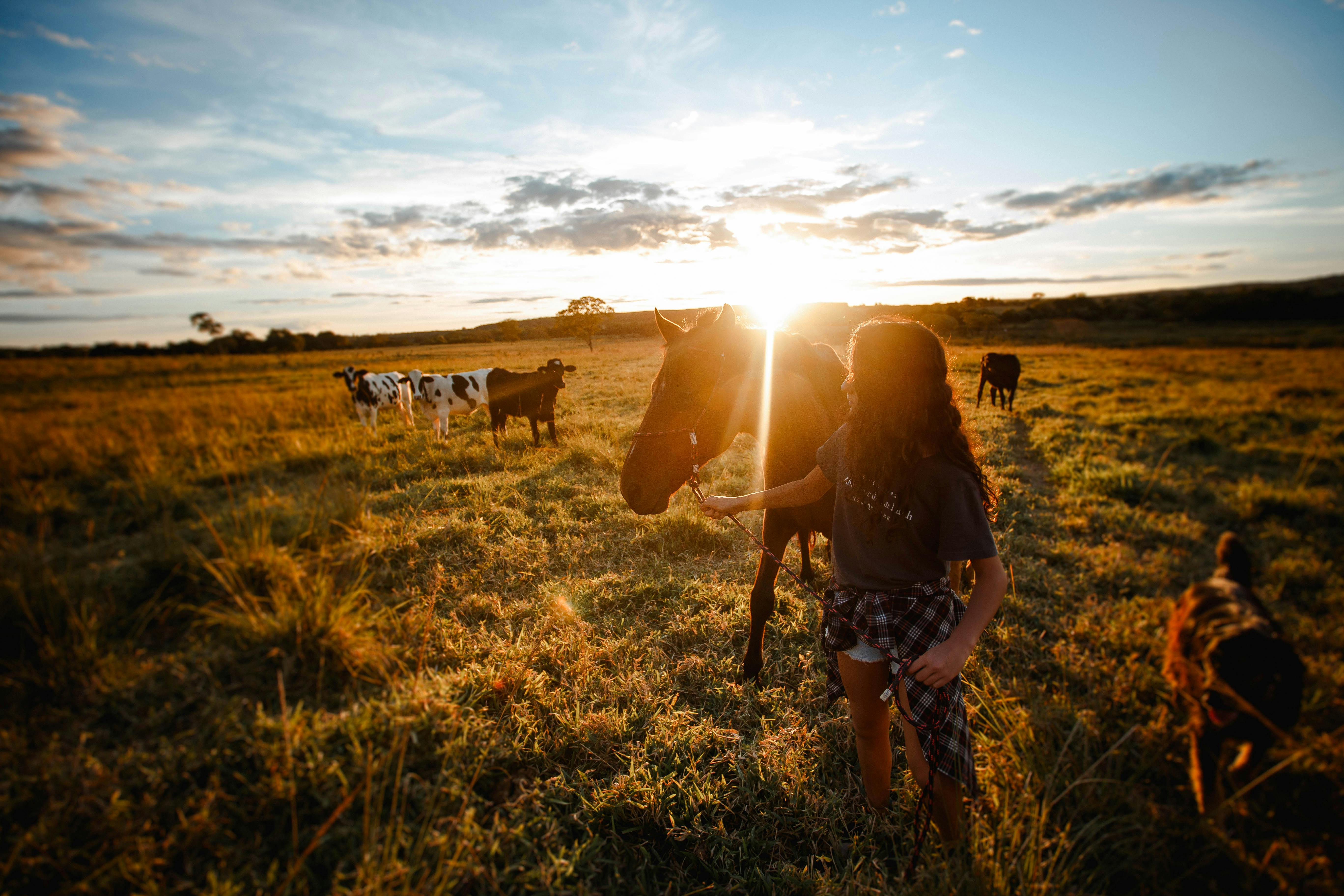 faceless teenage girl leading horse by bridle in sunlight