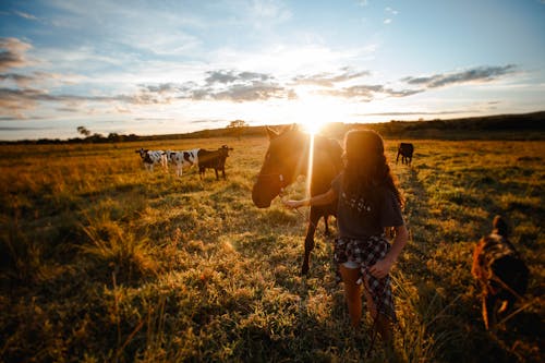 Δωρεάν στοκ φωτογραφιών με lifestyle, αγελάδα, αγνώριστος